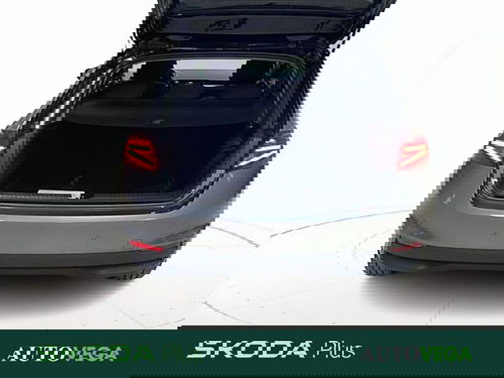 Skoda Fabia usata a Vicenza (18)