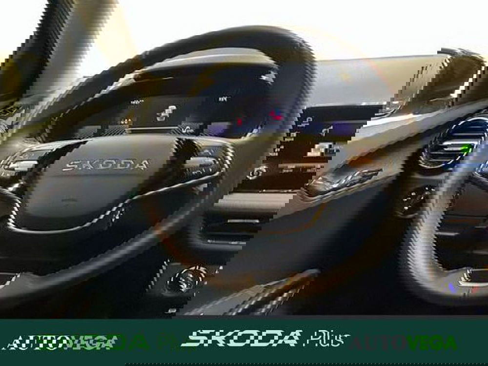 Skoda Fabia usata a Vicenza (9)