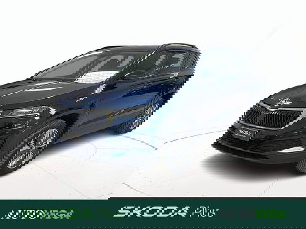Skoda Karoq usata a Vicenza