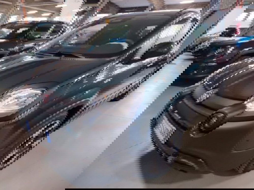 Fiat Panda usata a Forlì-Cesena (2)