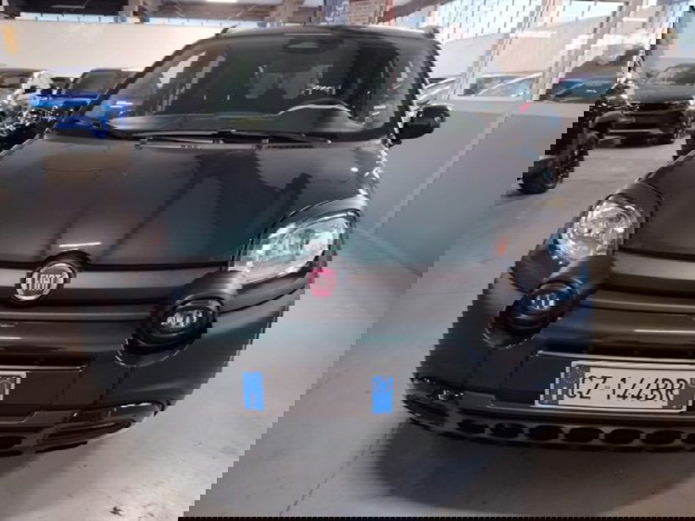 Fiat Panda usata a Forlì-Cesena (3)