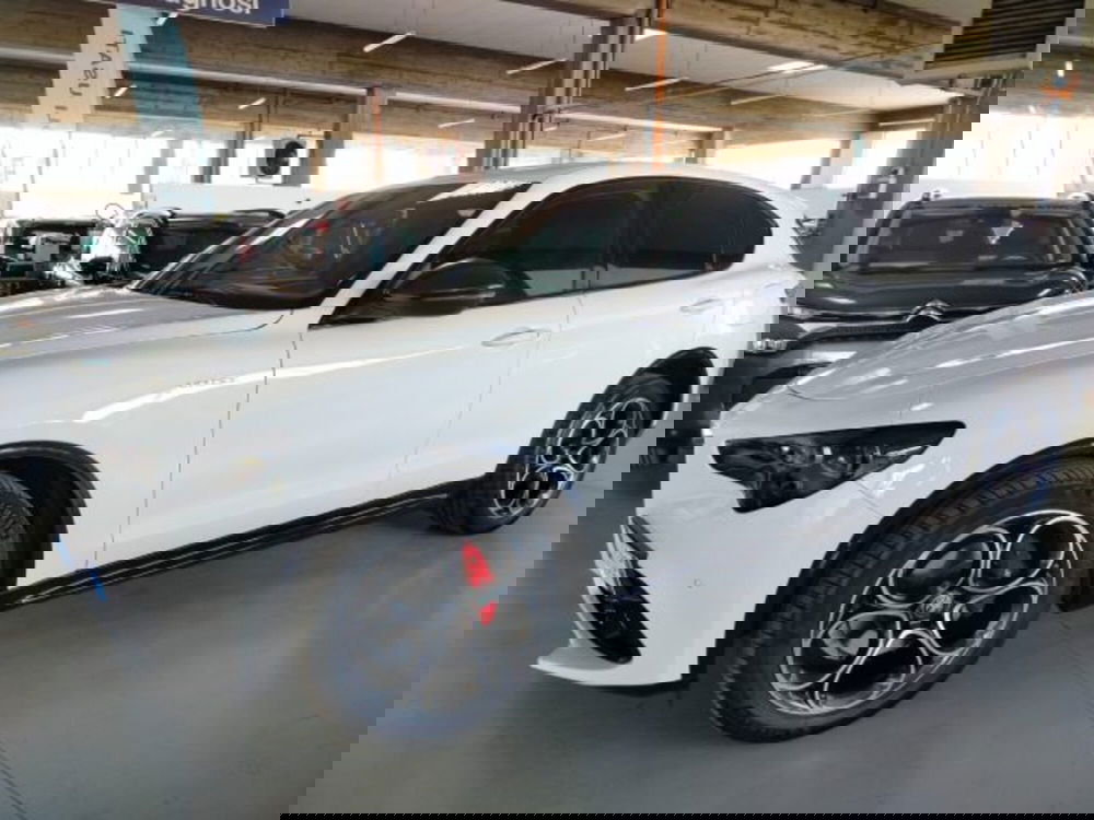 Alfa Romeo Stelvio usata a Forlì-Cesena (4)