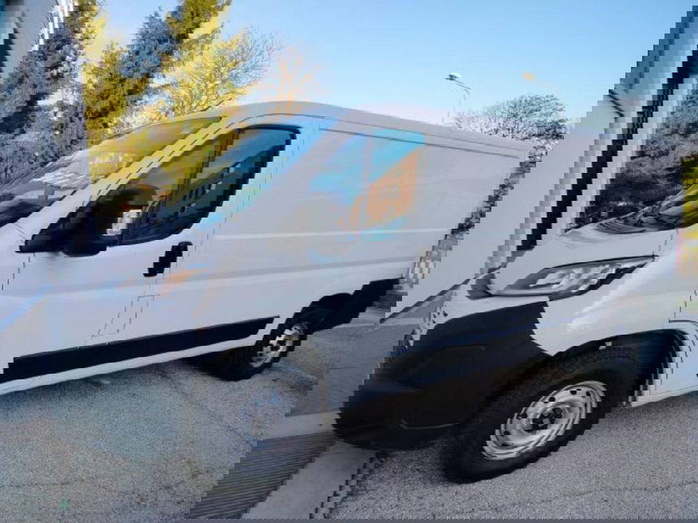 Fiat Ducato Furgone usata a Forlì-Cesena (2)