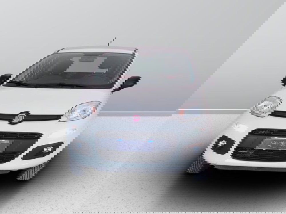 Fiat Panda usata a Teramo (2)