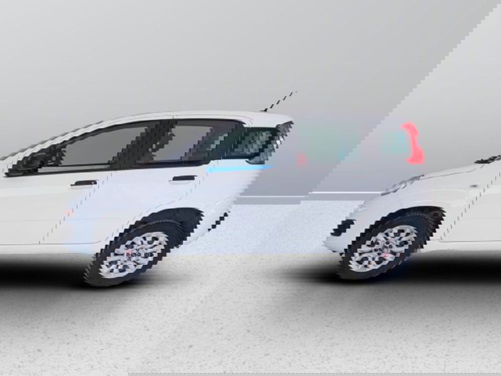 Fiat Panda usata a Teramo (3)