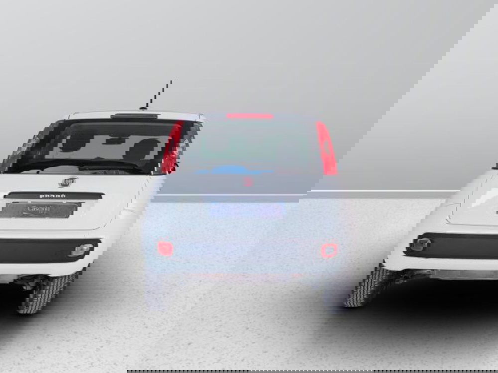 Fiat Panda usata a Teramo (4)