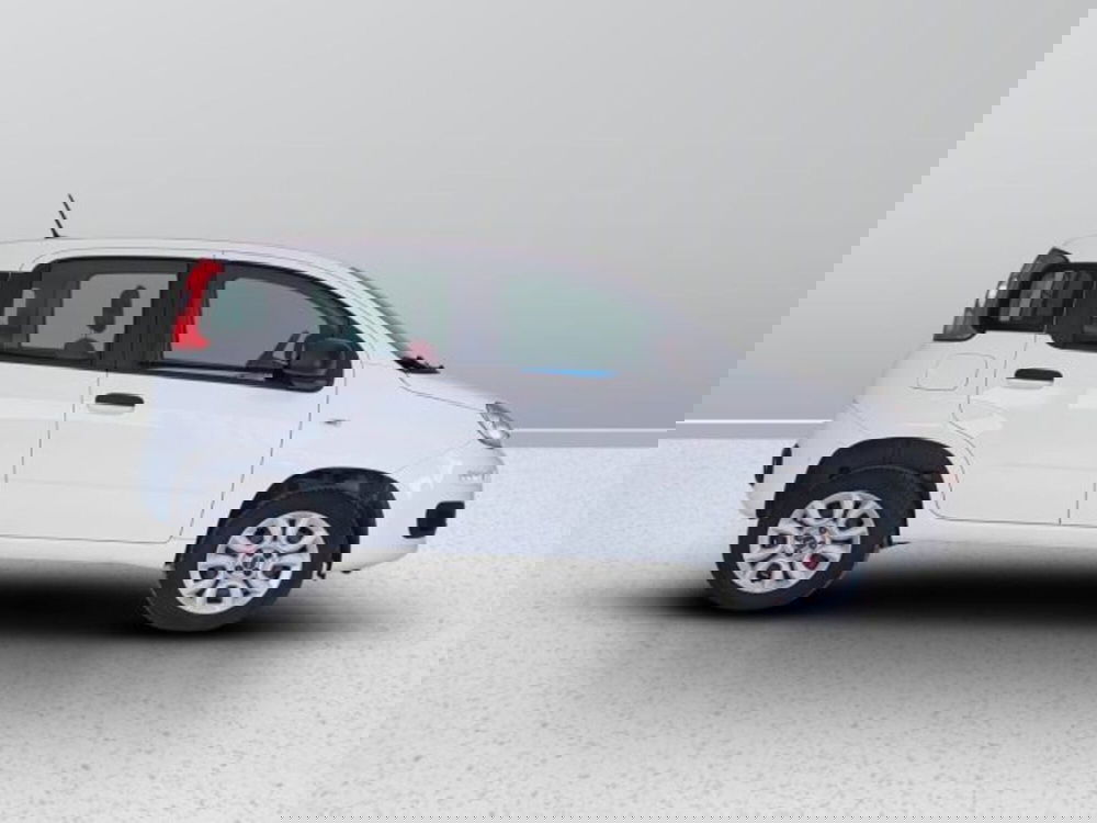 Fiat Panda usata a Teramo (7)