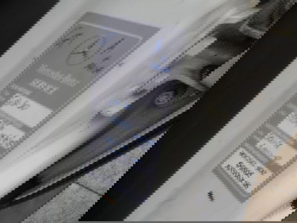 Dacia Duster usata a Pisa (11)