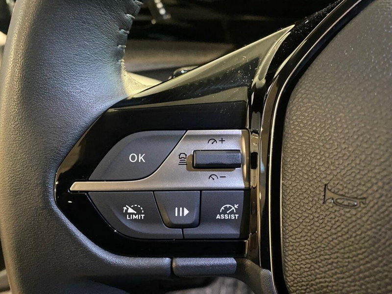 Peugeot 308 usata a Torino (13)