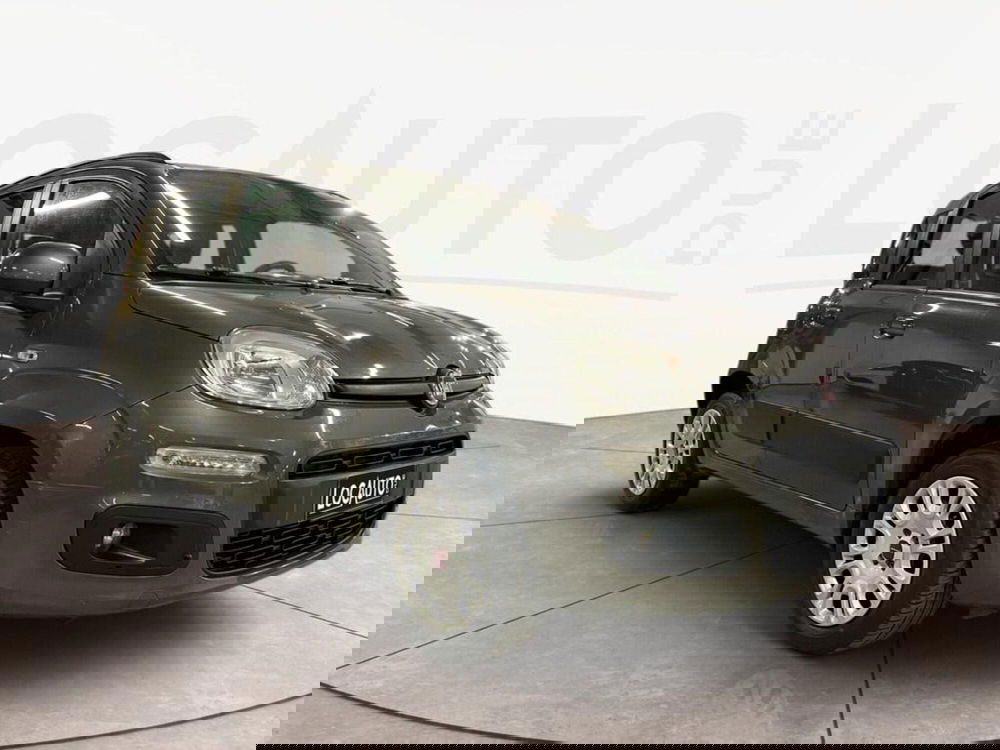 Fiat Panda usata a Torino (2)