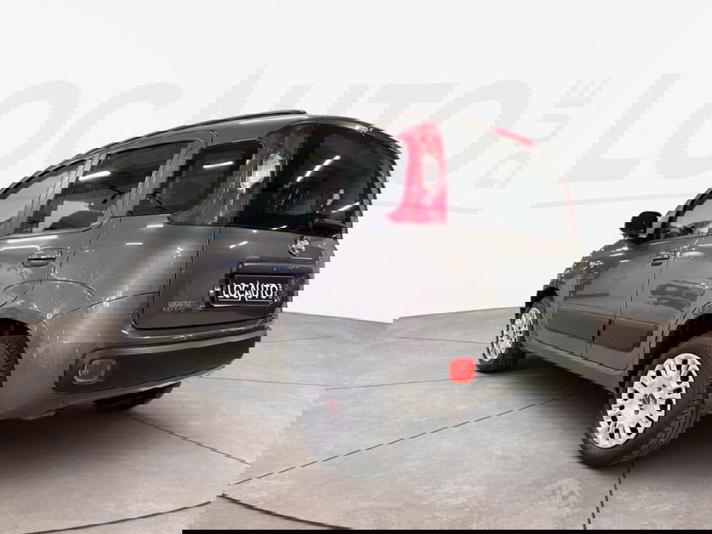 Fiat Panda usata a Torino (4)