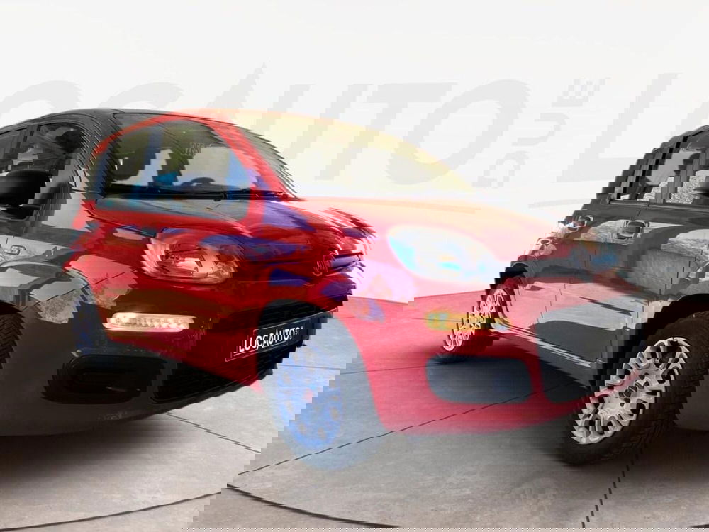 Fiat Panda usata a Torino (2)