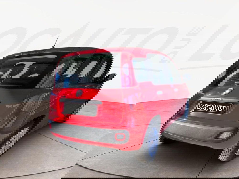 Fiat Panda usata a Torino (3)