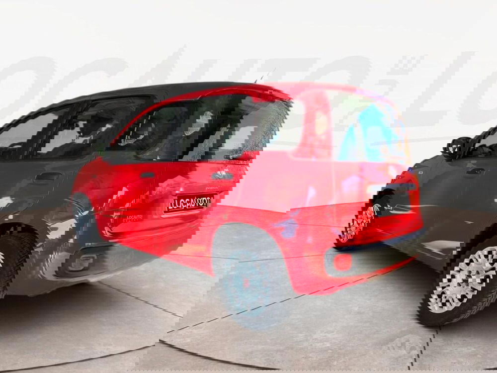 Fiat Panda usata a Torino (4)