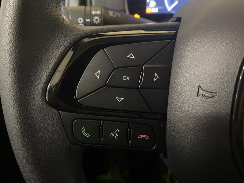 Fiat Pandina nuova a Torino (11)
