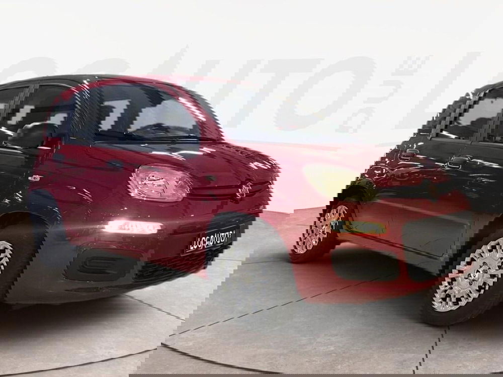 Fiat Pandina nuova a Torino (3)