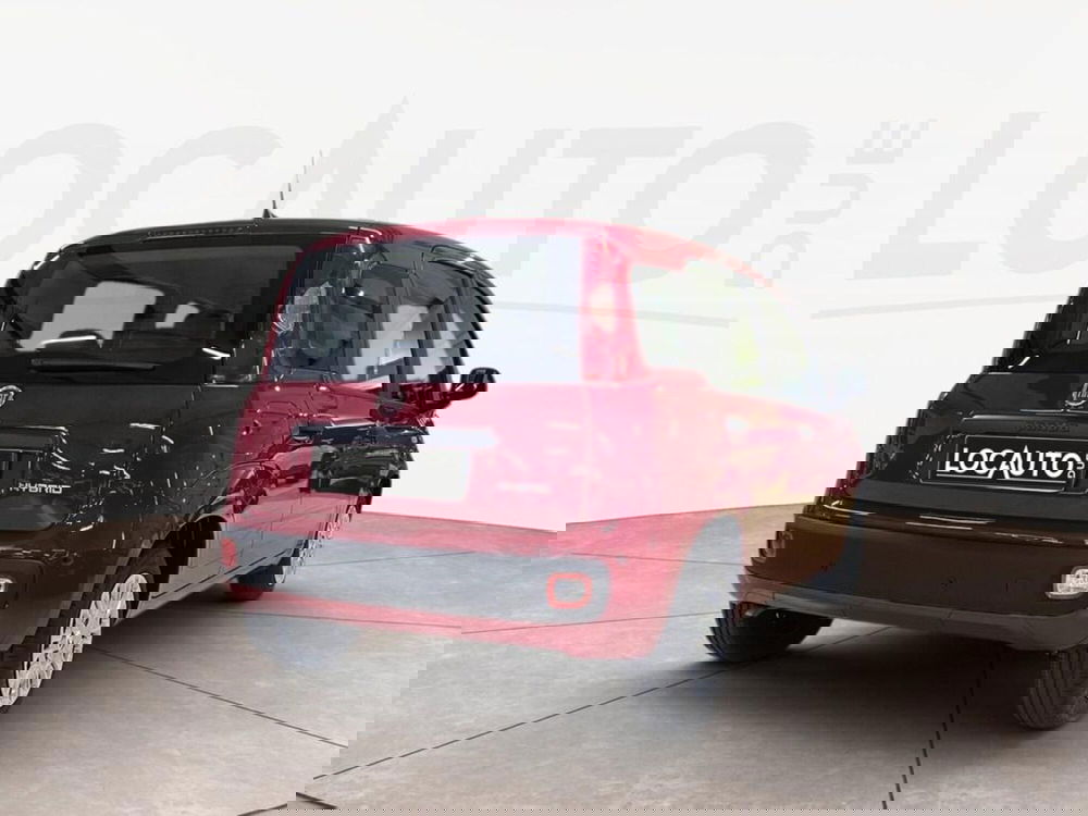 Fiat Pandina nuova a Torino (4)