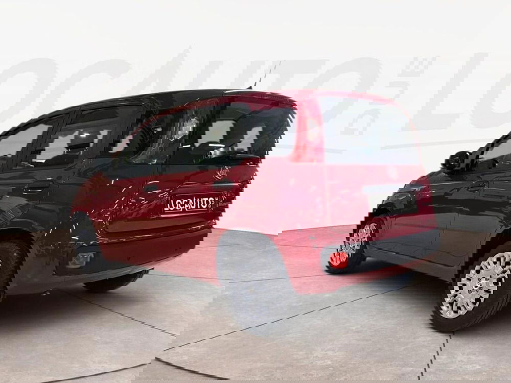 Fiat Pandina nuova a Torino (5)