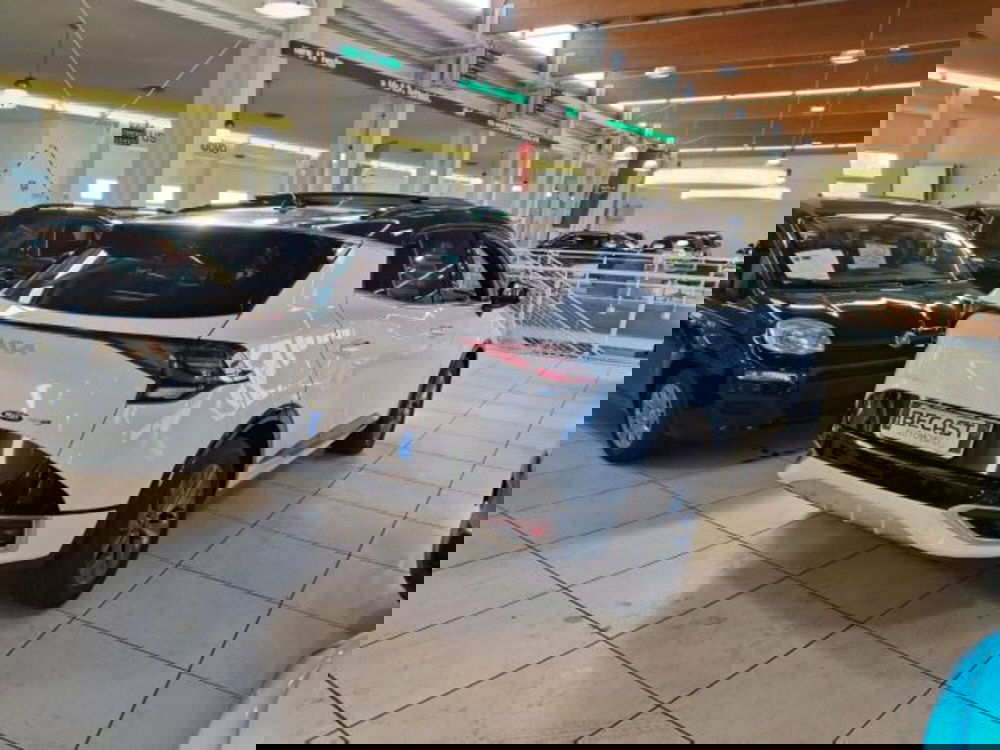 Kia Sportage usata a Vicenza (4)