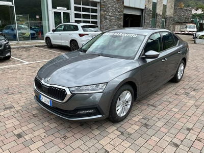 Skoda Octavia 1.0 TSI Executive del 2023 usata a Talamona