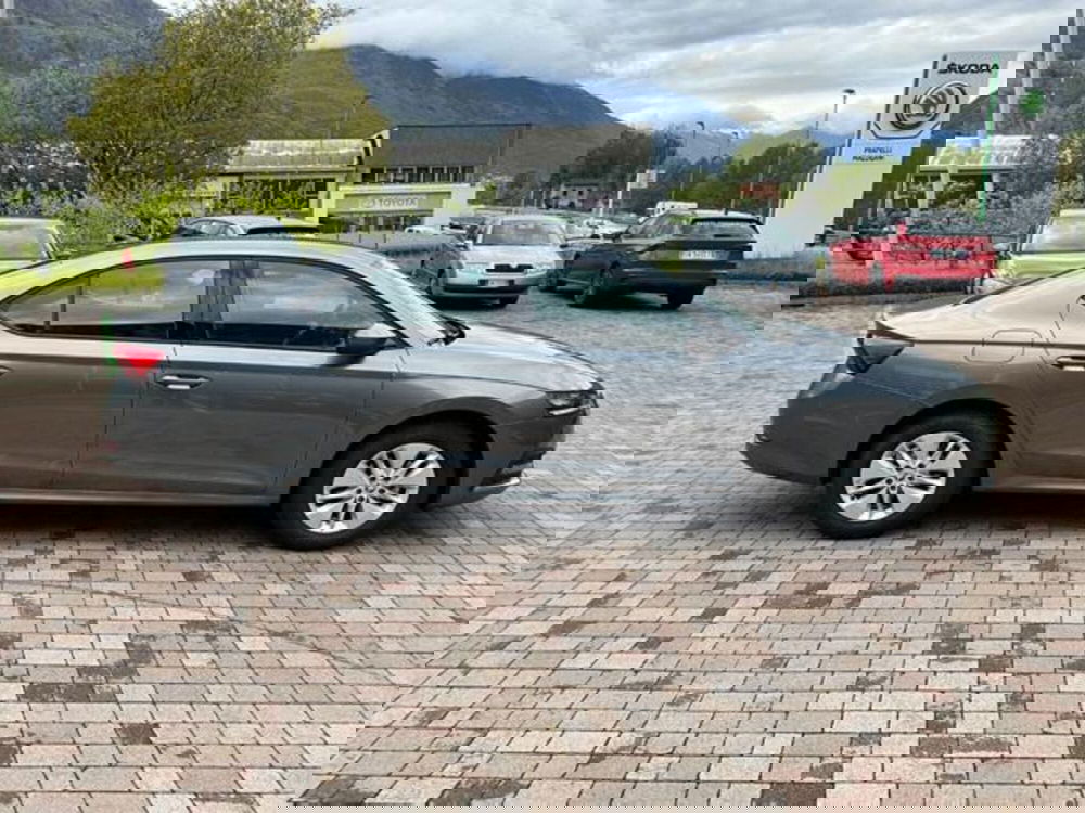 Skoda Octavia usata a Sondrio (13)