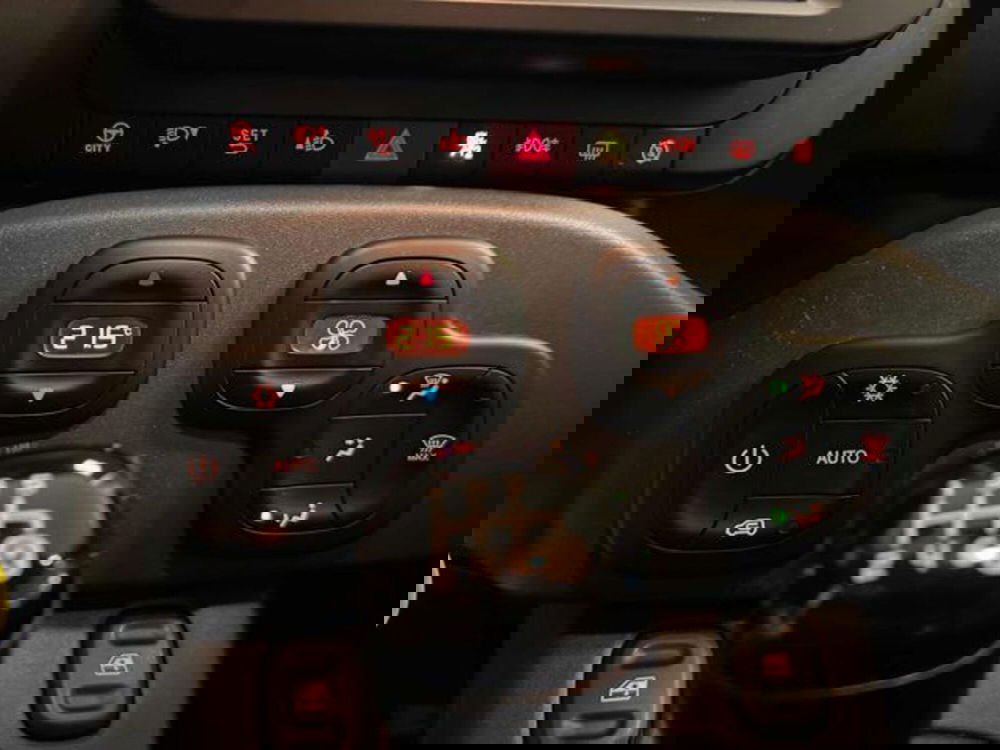 Fiat Panda Cross usata a Vercelli (14)