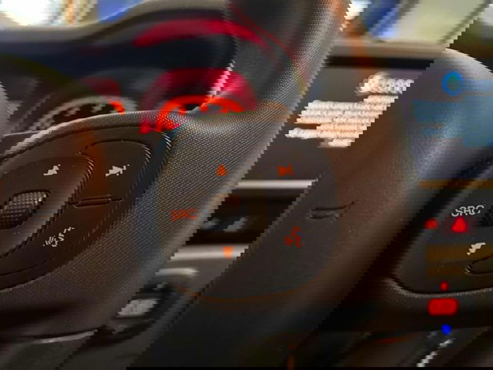 Fiat Panda Cross usata a Vercelli (15)