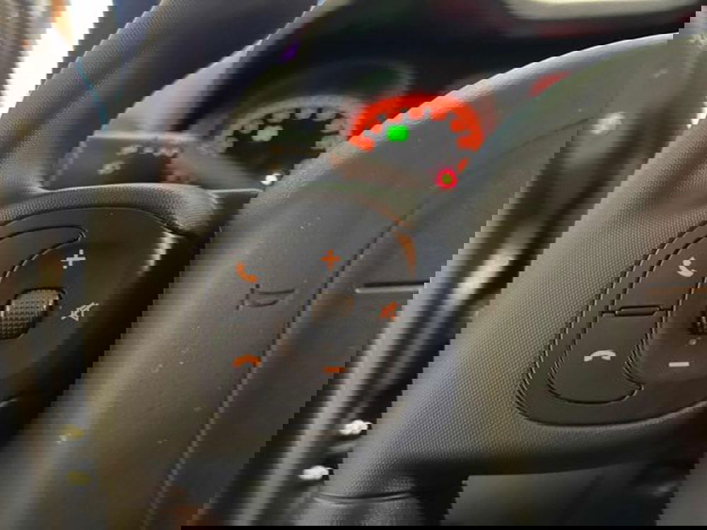 Fiat Panda Cross usata a Vercelli (16)