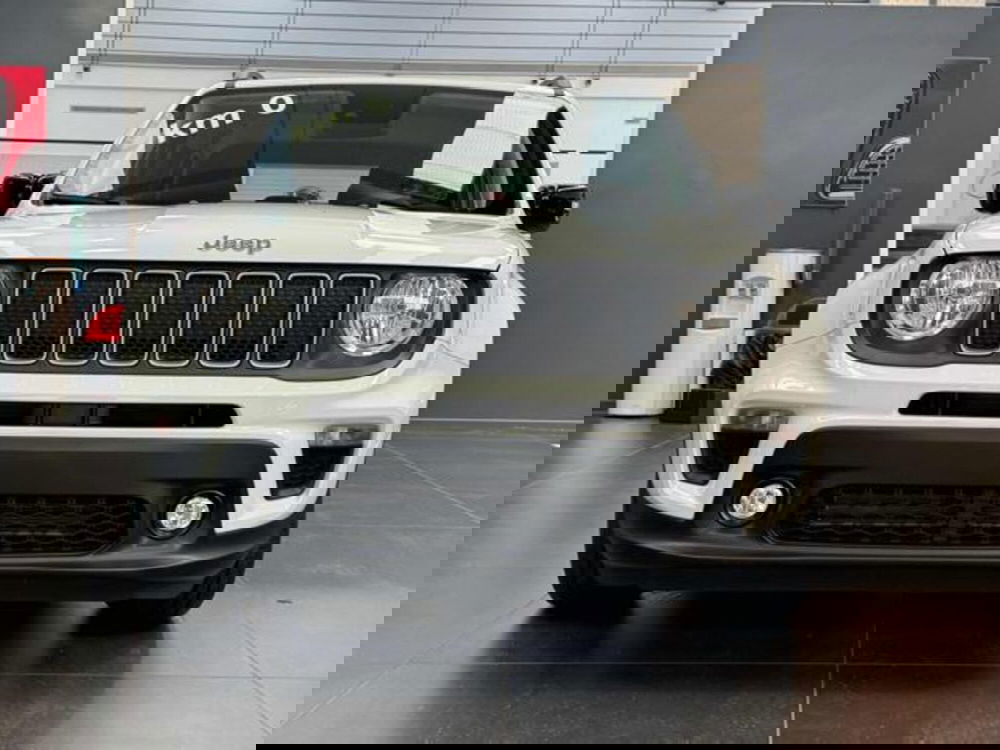 Jeep Renegade nuova a Vercelli (2)