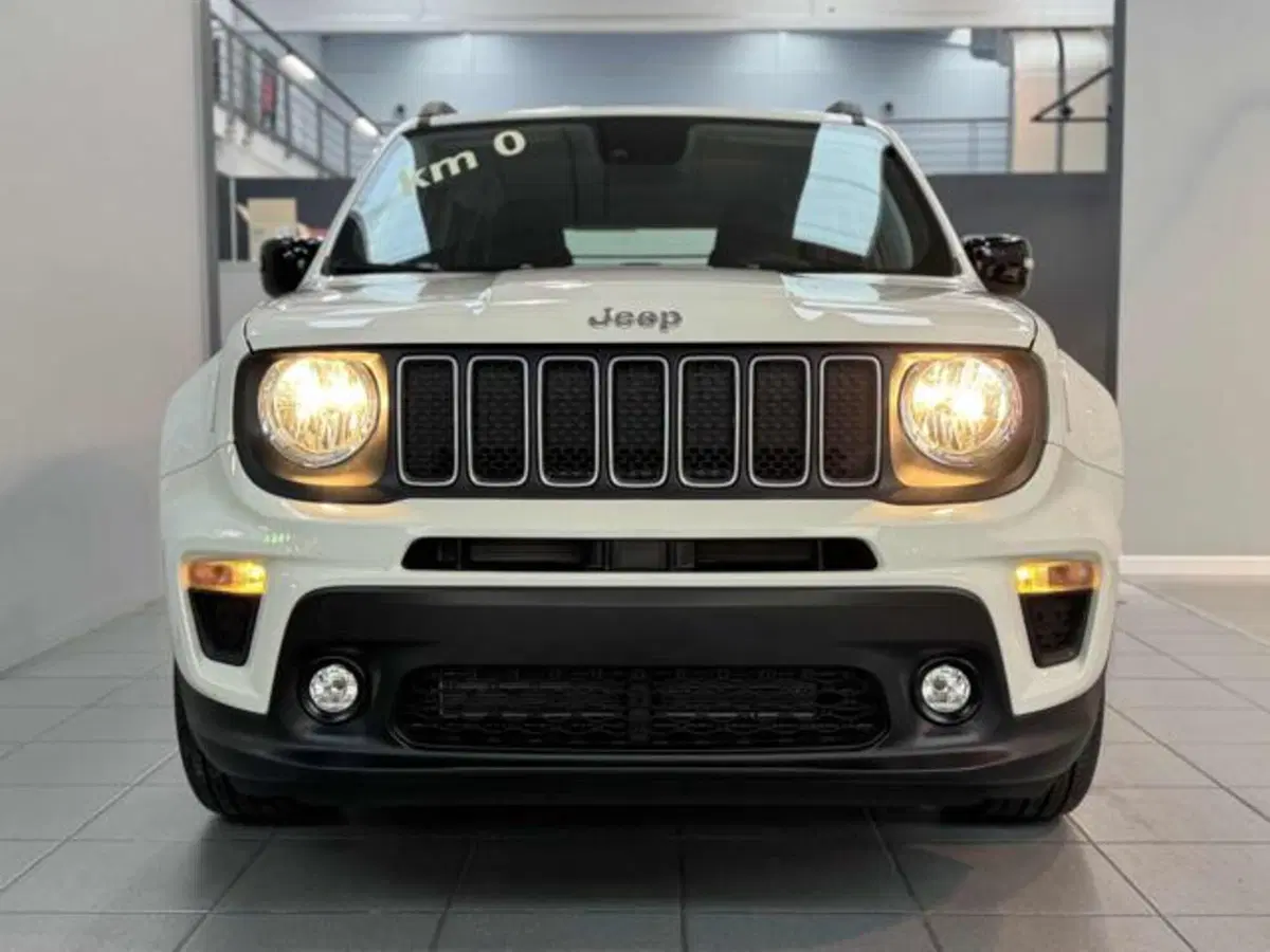 Jeep Renegade nuova a Vercelli (9)