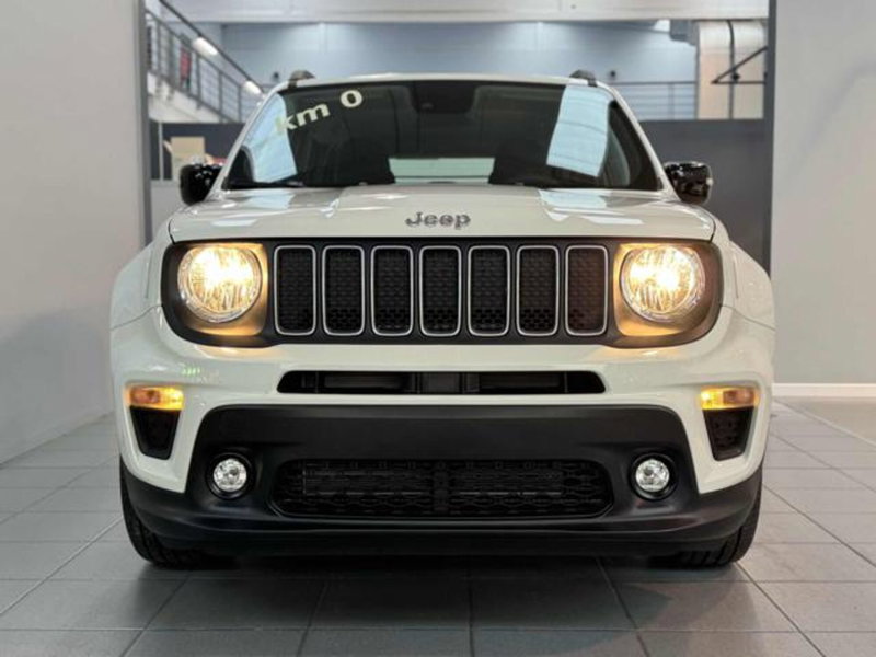 Jeep Renegade nuova a Vercelli (9)