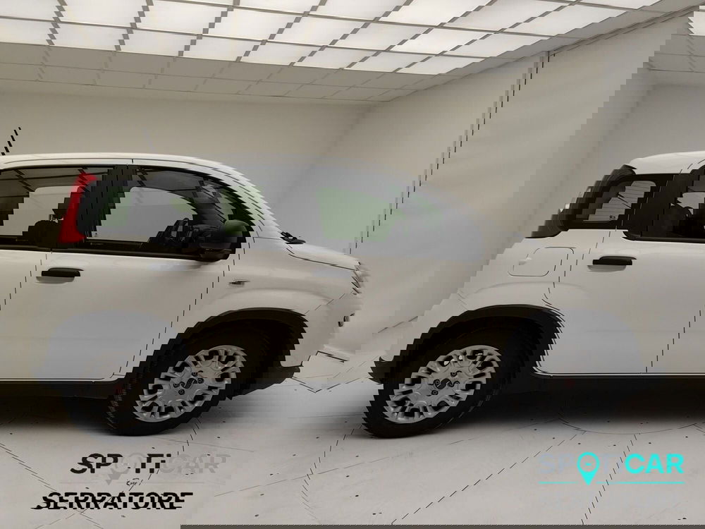 Fiat Panda usata a Como (19)