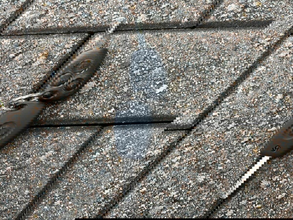 smart forfour usata a Sondrio (15)