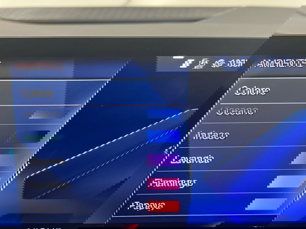 BMW Serie 2 Active Tourer usata a Torino (15)