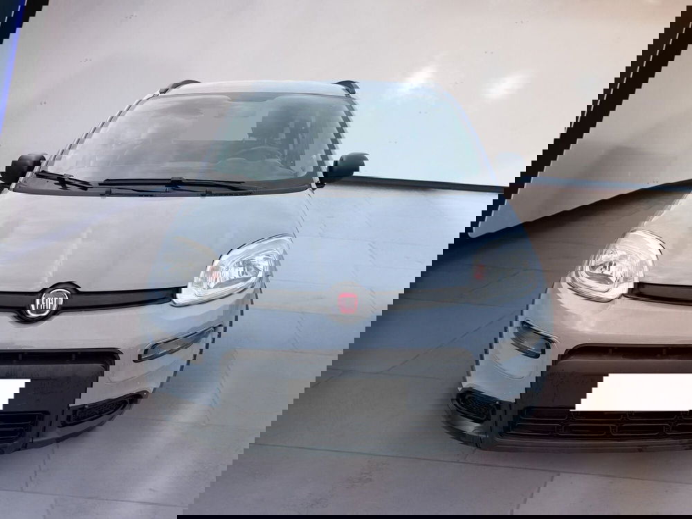 Fiat Panda usata a Torino