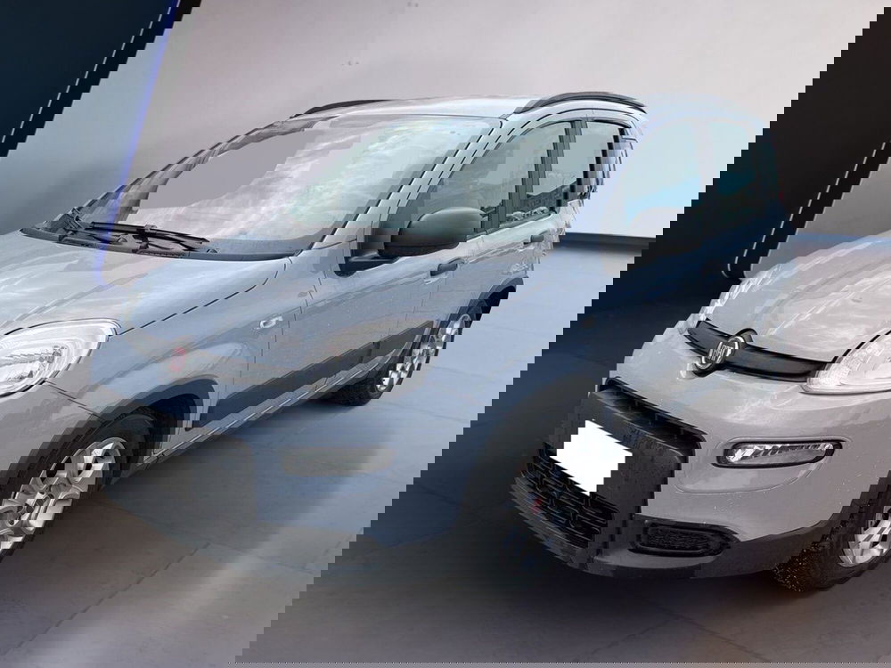 Fiat Panda usata a Torino (2)