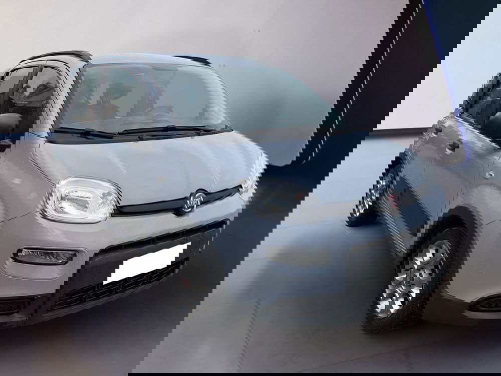 Fiat Panda usata a Torino (3)