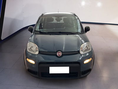 Fiat Panda 1.0 firefly hybrid s&amp;s 70cv 5p.ti del 2021 usata a Torino