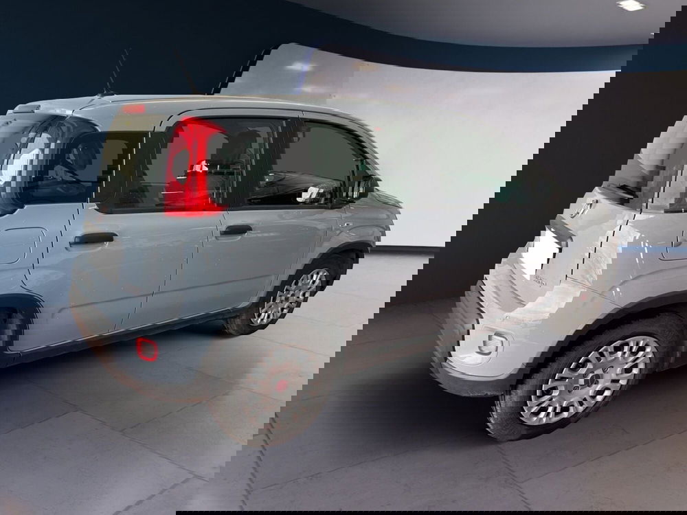 Fiat Panda usata a Torino (4)