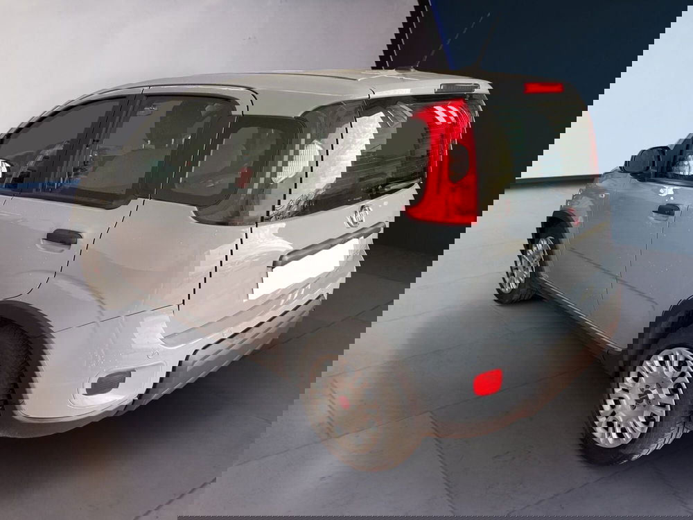 Fiat Panda usata a Torino (6)