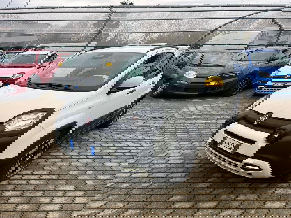 Fiat Panda Cross usata a Milano