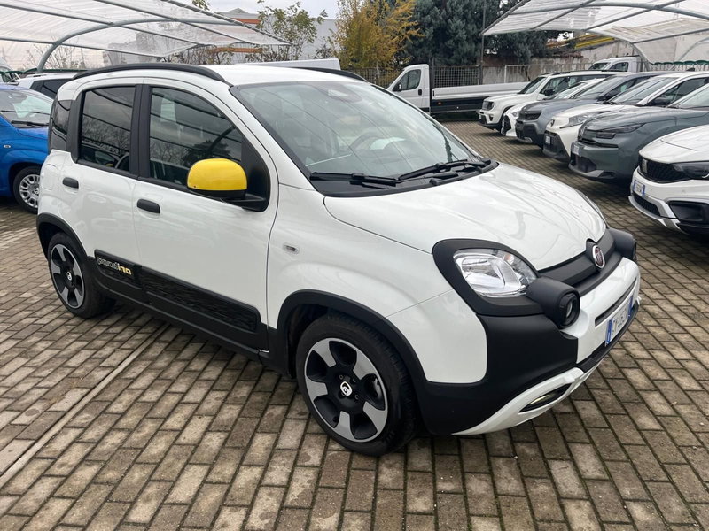 Fiat Panda Cross usata a Milano (3)