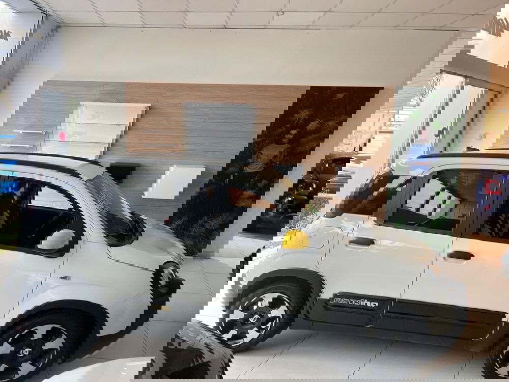 Fiat Panda Cross usata a Milano (4)