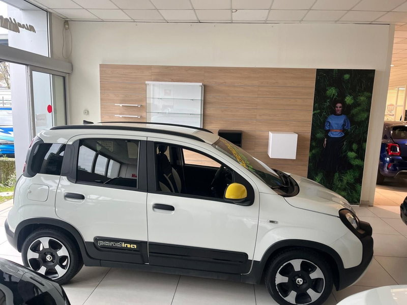 Fiat Panda Cross usata a Milano (4)