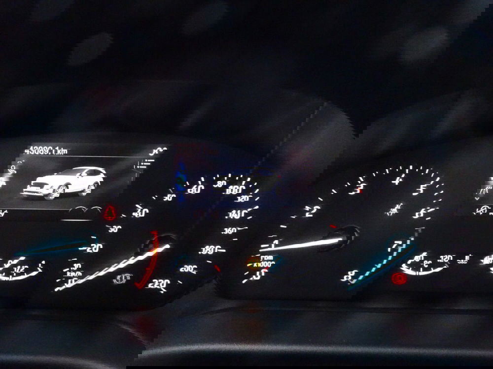 Ford Puma usata a Treviso (15)