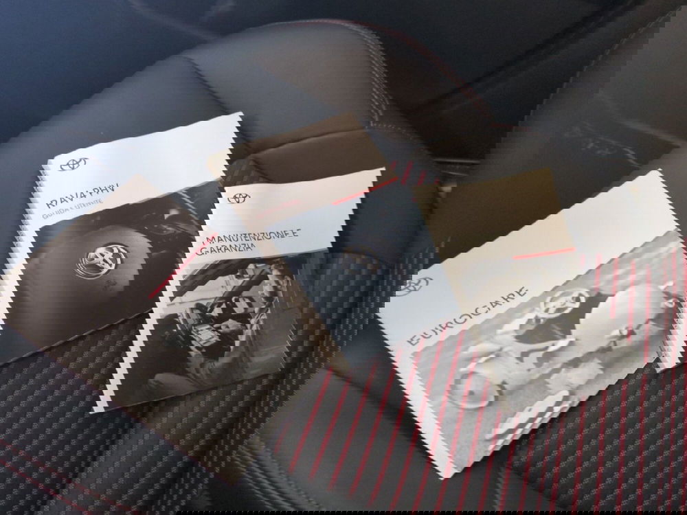 Toyota Rav4 usata a Milano (20)