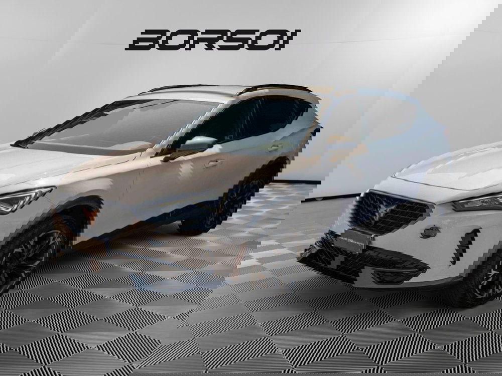 Cupra Formentor usata a Treviso