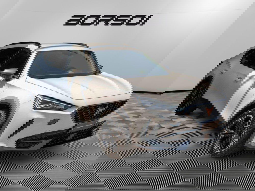 Cupra Formentor usata a Treviso (7)