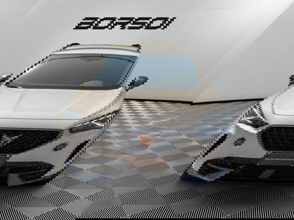 Cupra Formentor usata a Treviso (8)