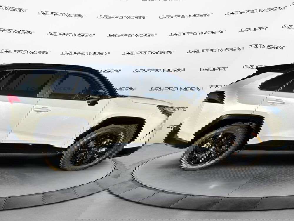 Toyota Rav4 usata a Bologna (7)